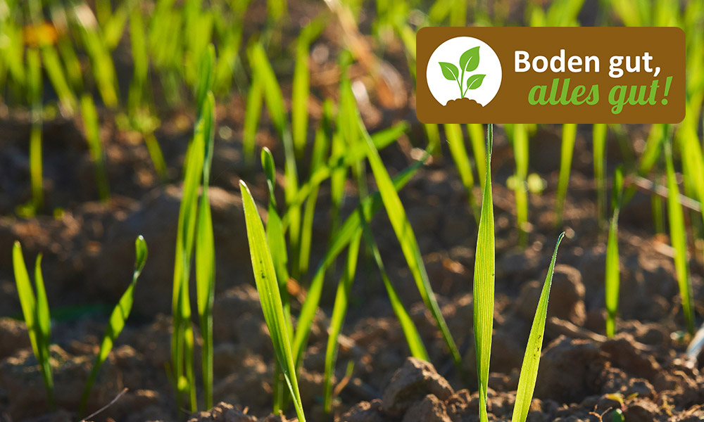 Social Media Projekt Boden gut alles gut – Landwirtschaft, Bodenwissen und digitale Kommunikation